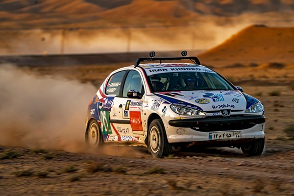 What are the best practices for installing and maintaining a roll cage in a rally car?